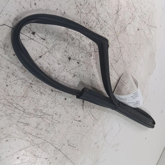Hyundai Elantra Door Glass Window Seal Rubber Right Passenger Front  2017 2018 2