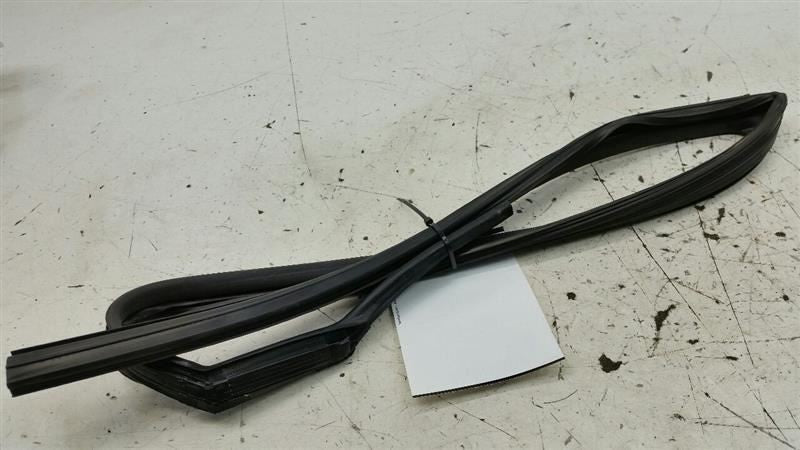 Hyundai Sonata Door Glass Window Seal Rubber Gasket Left Rear Back 2012 2013