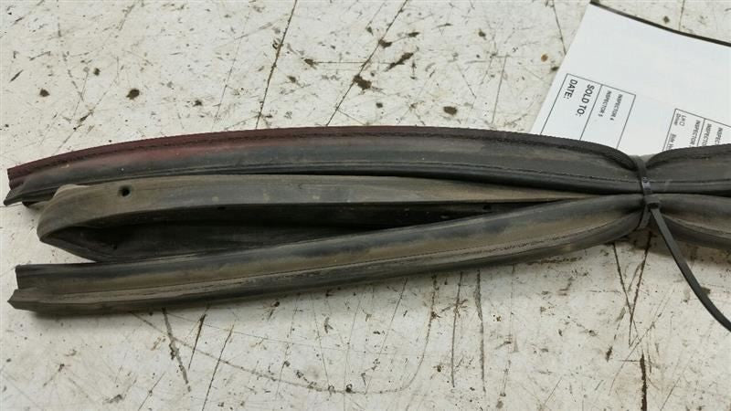 Nissan Sentra On Door Seal Rubber Gasket Left Driver Front 2003 2004 2005 2006