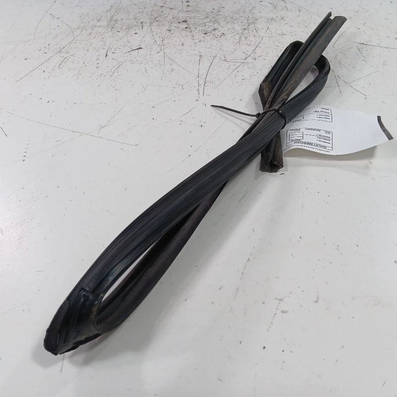 Hyundai Elantra Door Glass Window Seal Rubber Right Passenger Rear Back  2017