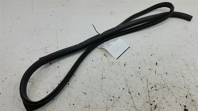 Nissan Maxima On Body Door Jamb Seal Gasket Rear Left Back 2005 2006 2007