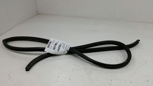 Nissan Maxima On Body Door Jamb Seal Gasket Front Right Passenger 2004 2005 OEM