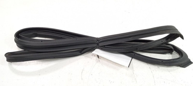 Acura TSX On Door Seal Rubber Right Passenger Front 2014 2013 2012 2011