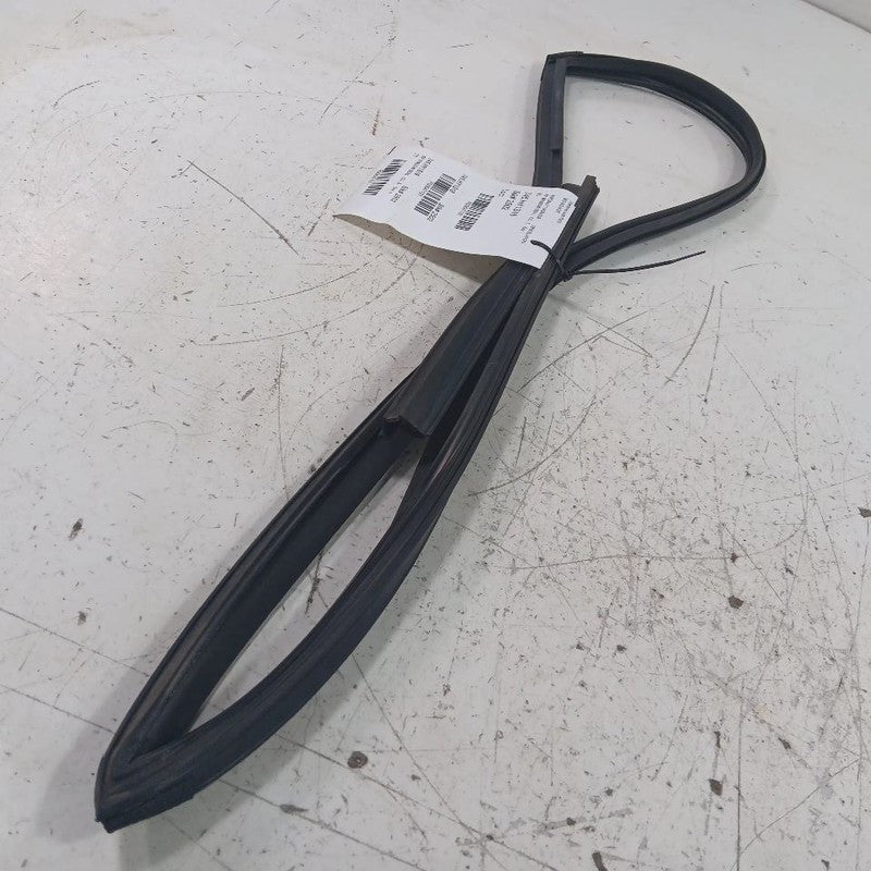Hyundai Elantra Door Glass Window Seal Rubber Right Passenger Front  2017 2018 2