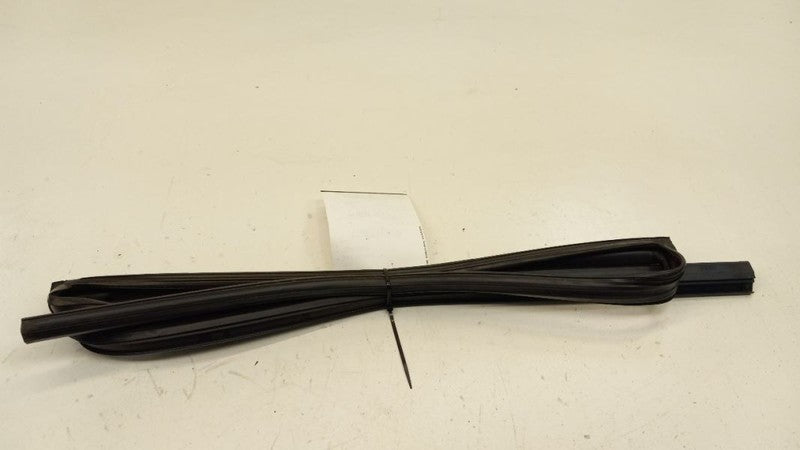 Infiniti G37 Door Glass Window Seal Rubber Left Rear Back 2010 2011 2012
