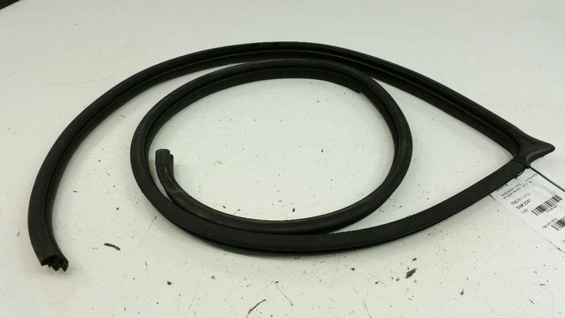 Hyundai Elantran Body Door Jamb Seal Front Right Passenger 2010 2009 2008 2007
