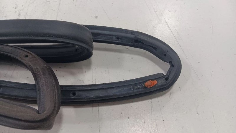 Chrysler 200 On Door Seal Rubber Left Rear Back 2015 2016 2017 OEM