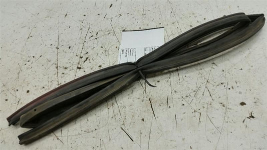 Nissan Sentra On Door Seal Rubber Gasket Left Driver Front 2003 2004 2005 2006