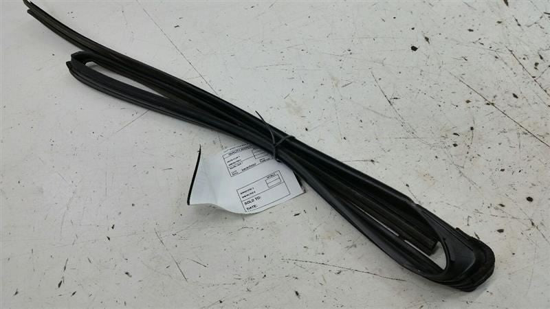 Honda Accord Door Glass Window Seal Rubber Gasket Right Passenger Rear 2009 2010