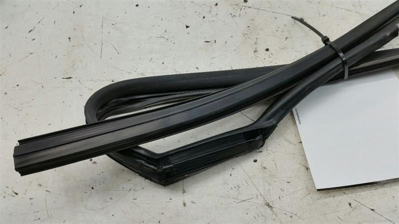Hyundai Sonata Door Glass Window Seal Rubber Gasket Left Rear Back 2012 2013