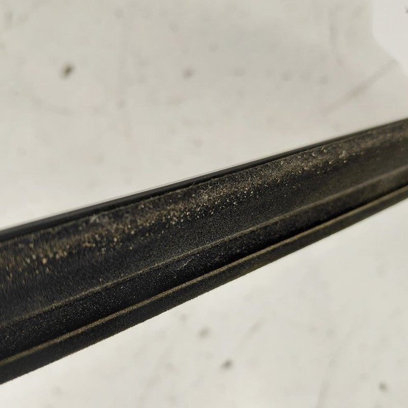 Buick Encore GX Door Glass Window Weather Strip Trim Rear Left Driver