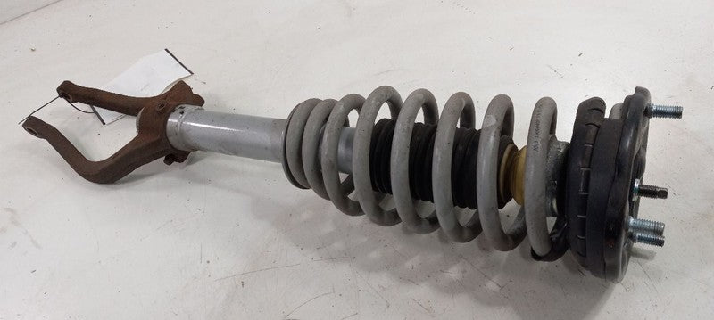 5461139404 Passenger Right Strut Front Fits 01-05 XG SERIES