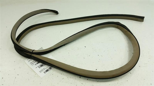 Nissan Altima On Body Door Jamb Seal Gasket Rear Left Back 2004 2005 2006 OEM