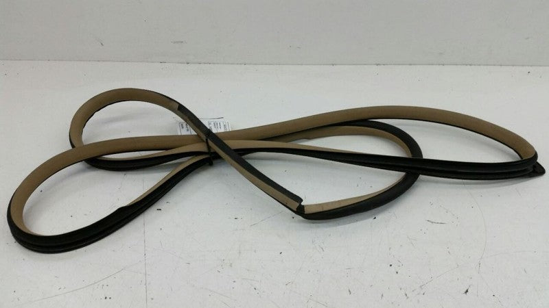 Nissan Sentra On Body Door Jamb Seal Gasket Front Right Passenger OEM 2007 2008