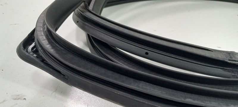 Hyundai Santa Fe On Body Door Jamb Seal Rear Right Passenger Back 2017 2018 2019