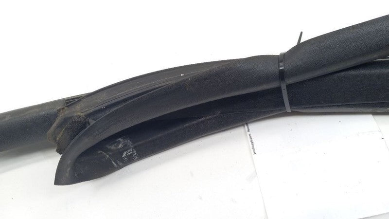 Sentra Door Glass Window Seal Rubber Left Rear Back 2006 2005 2004 2003 2