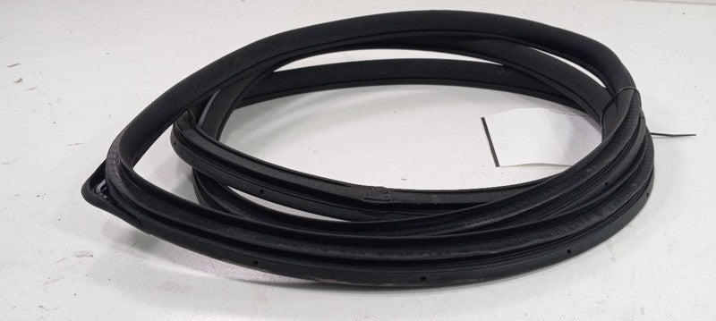 Hyundai Santa Fe On Body Door Jamb Seal Rear Right Passenger Back 2017 2018 2019