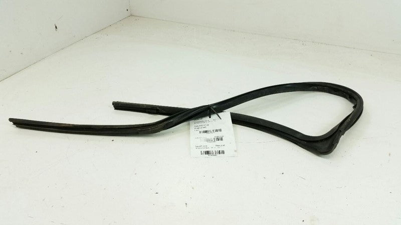 2009 Ford Focus Door Glass Window Seal Rubber Gasket Right Passenger Front 2010