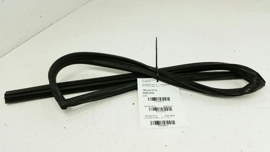 Nissan Maxima Door Glass Window Seal Rubber Gasket Right Passenger Rear 2014 OEM