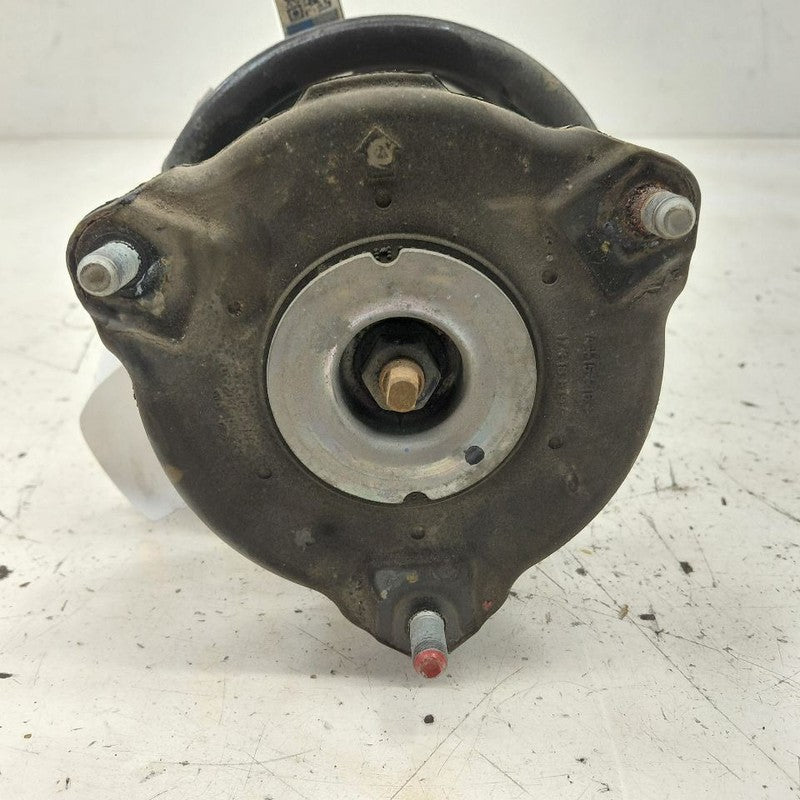 Passenger Right Front Strut AWD Fits 16-18 Kia Sorento
