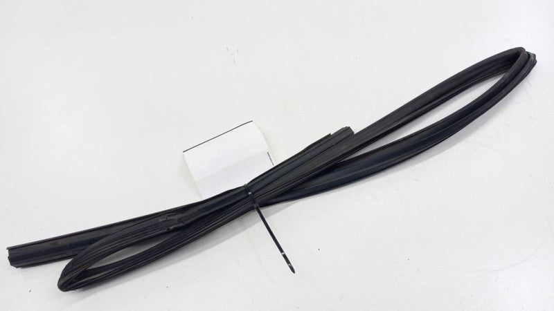 Hyundai Elantra Door Glass Window Seal Rubber Left Rear Back 2009 2010 2011 2012
