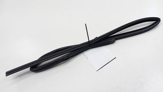 Hyundai Elantra Door Glass Window Seal Rubber Right Passenger Rear Back 2009 201