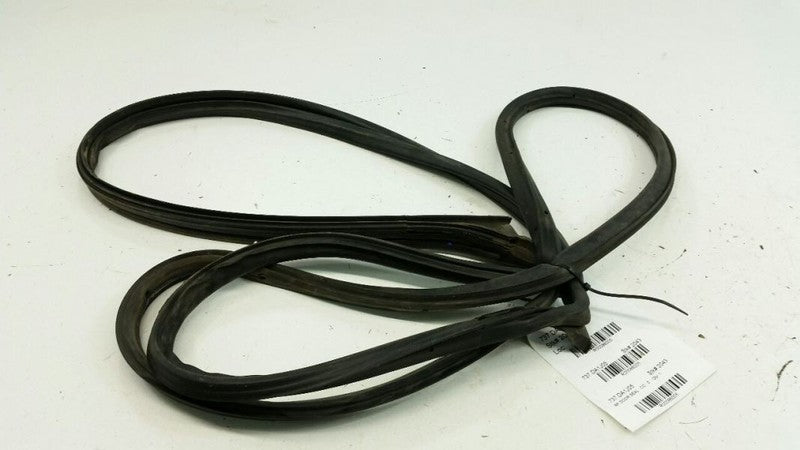 Nissan Altiman Door Seal Rubber Gasket Right Passenger Front 2004 2005 2006