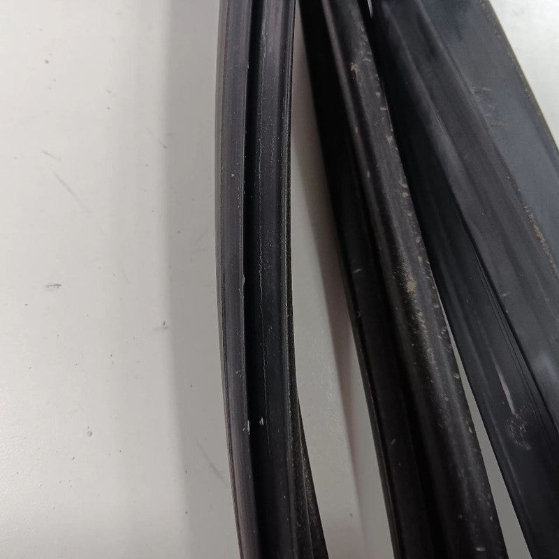 Hyundai Elantra Door Glass Window Seal Rubber Left Driver Front  2017 2016 2015