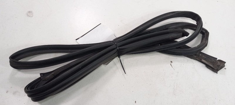 Nissan Sentra On Door Seal Rubber Left Rear Back 2012 2011 2010 2009 2008 2007