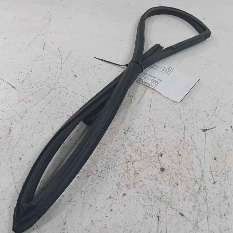 Hyundai Elantra Door Glass Window Seal Rubber Right Passenger Front  2017 2018 2