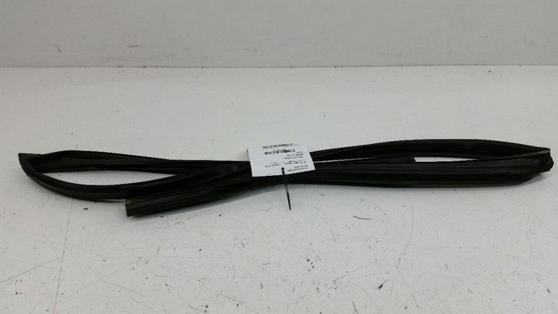 Nissan Sentra Door Glass Window Seal Rubber Gasket Left Driver Front 2007 2008
