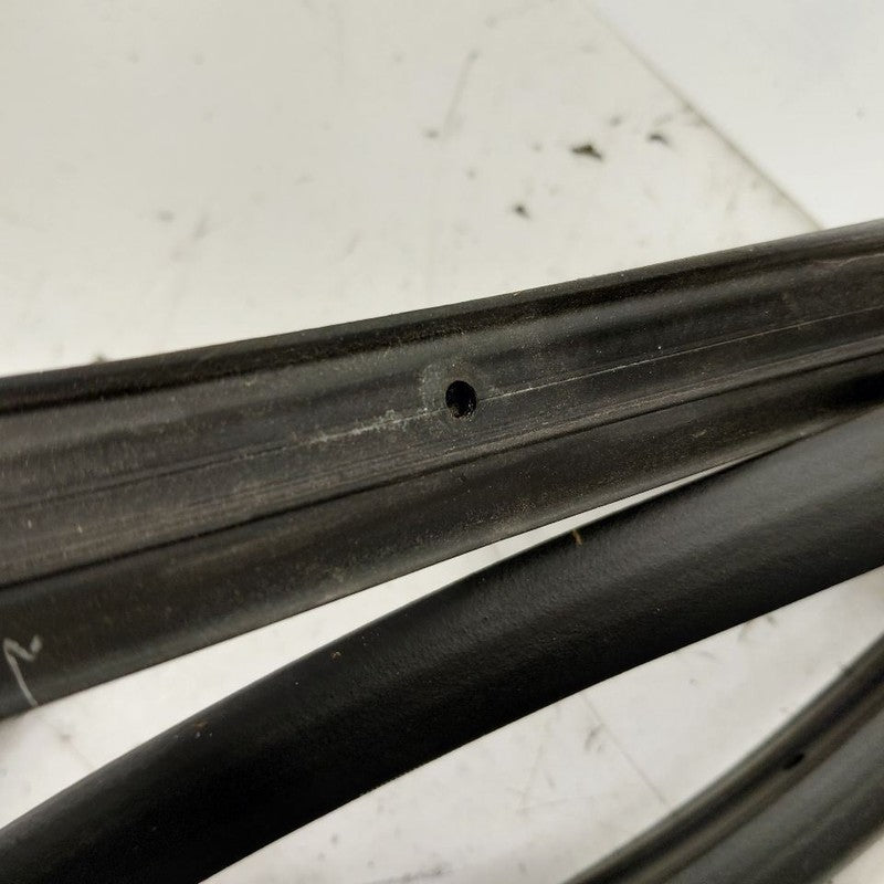 Buick Encore GX On Door Seal Rubber Left Driver Front 2020 2021 2022