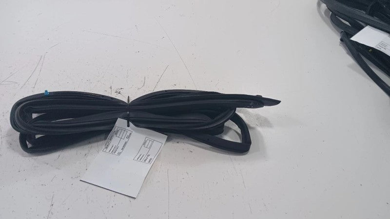 Honda Civic On Door Seal Rubber Right Passenger Front 2016 2017 2018 2019