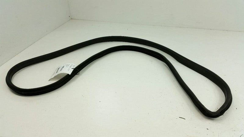On Body Door Jamb Seal Gasket Front Right Passenger 2017 FORD FIESTA 2016 2018