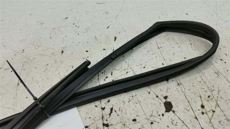 2012 Sonata Door Glass Window Seal Rubber Right Passenger Front