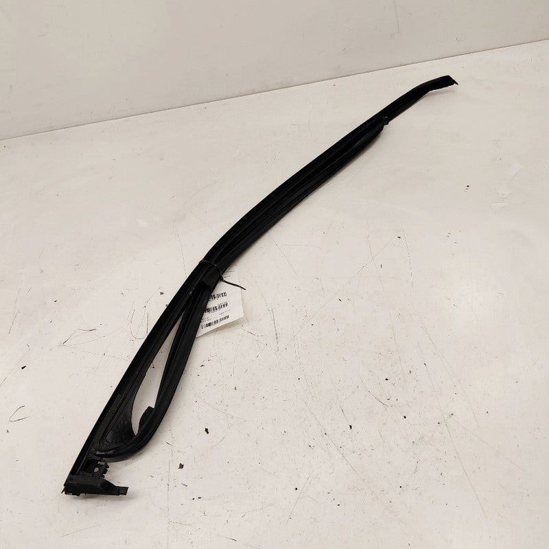 Buick Encore GX Door Glass Window Seal Rubber Left Driver Front 2020