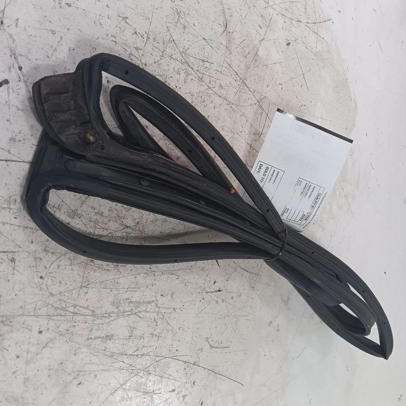 Hyundai Elantra On Door Seal Rubber Left Rear Back  2017 2018 2019 2020