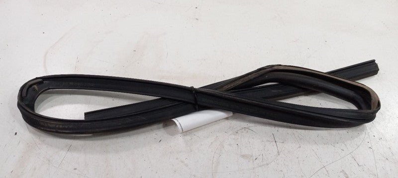 Dodge Journey Door Glass Window Seal Rubber Right Passenger Rear Back