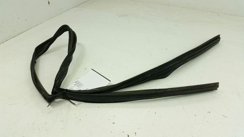 Nissan Altima Door Glass Window Seal Rubber Gasket Right Passenger Rear 2005 OEM