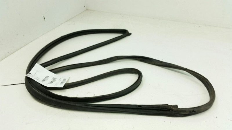 Nissan Altiman Door Seal Rubber Gasket Right Passenger Front 2004 2005 2006