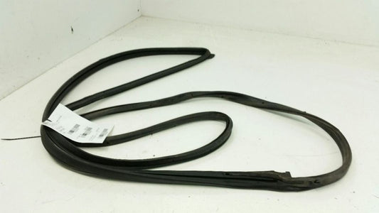 Nissan Altiman Door Seal Rubber Gasket Right Passenger Front 2004 2005 2006