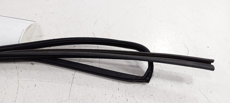 Subaru Impreza Door Glass Window Seal Rubber Left Driver Front 2020 2019 2018 17