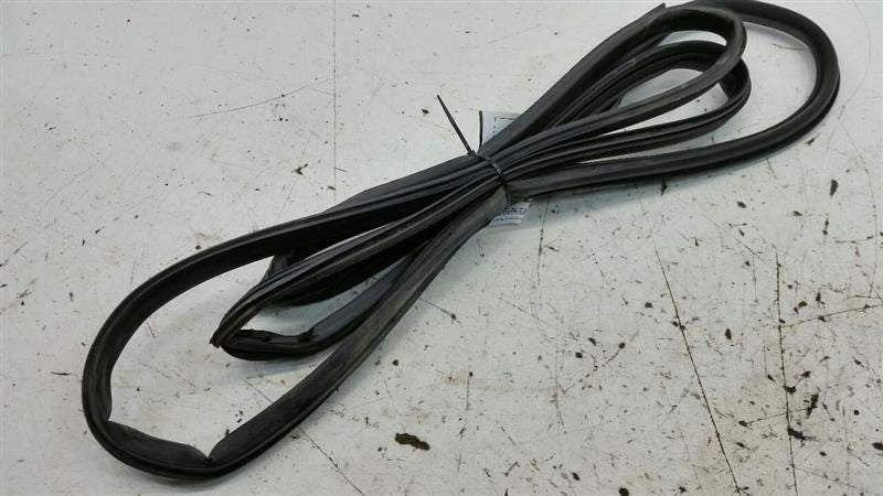 Nissan Maxima On Door Seal Rubber Gasket Right Passenger Rear Back 2006 2007