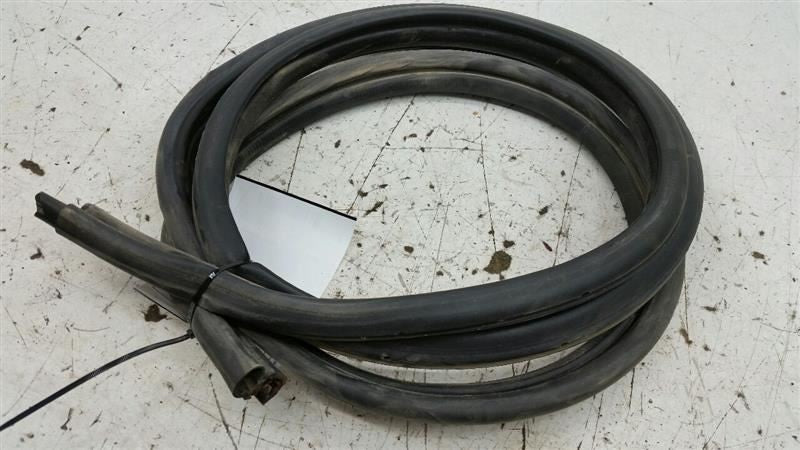 Nissan Sentra On Body Door Jamb Seal Gasket Rear Left Back 2005 2006