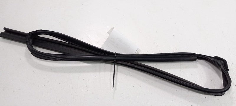 Acura TSX Door Glass Window Seal Rubber Left Rear Back 2014 2013 2012 11