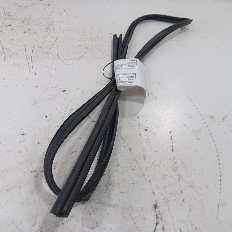 Toyota Corolla Door Glass Window Seal Rubber Left Driver Front  2016 2015 2014