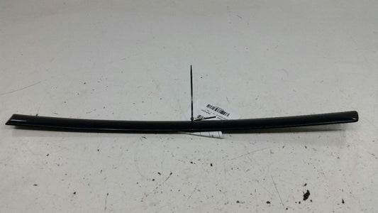 Nissan Maxima Door Molding Trim Strip Left Rear Back  2004 2005 2006 2007 OEM