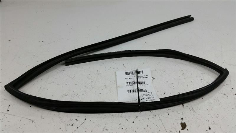 Hyundai Sonata Door Glass Window Seal Rubber Gasket Right Passenger Rear 2010