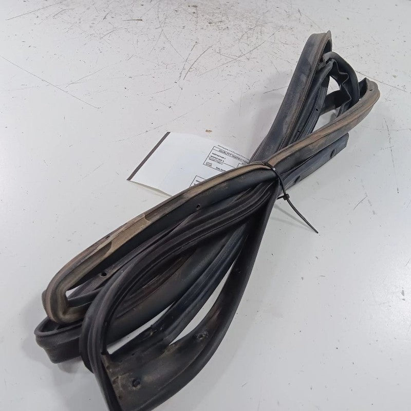 Hyundai Elantra On Door Seal Rubber Left Rear Back  2017 2016 2015 2014