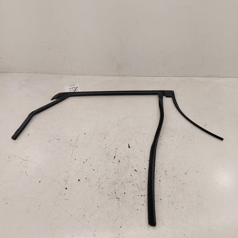 Ford Edge Door Glass Window Seal Rubber Left Driver Rear Back 2019 20